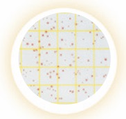 Petrifilm AC aerobic count plates