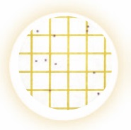 Petrifilm™ Staph Express Count Plates  (2x25)